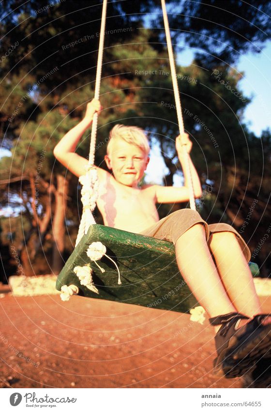 endorphins Swing Child Summer Fresh Tree Vacation & Travel Wooden board Playing Joie de vivre (Vitality) Live Evening sun Joy Boy (child) boy Wind Skin Sun