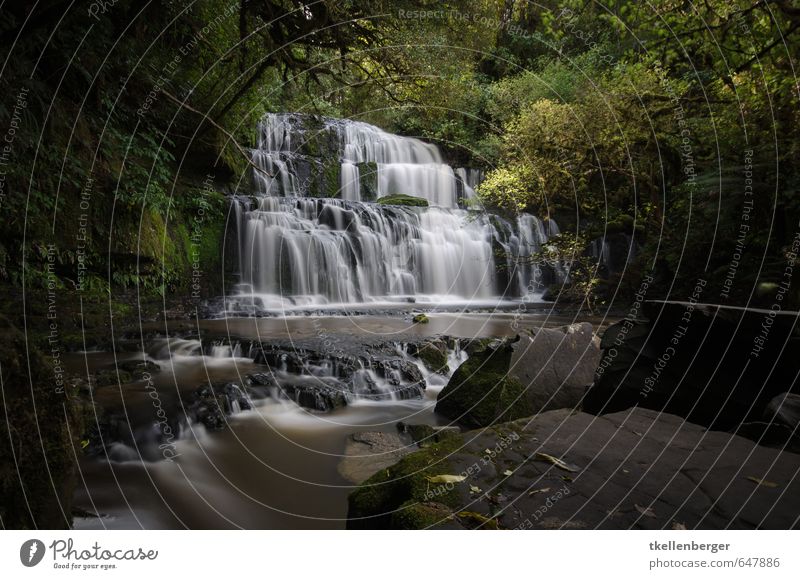 Purakanui Falls New Zealand I Nature Water Waterfall purakanui if Vacation & Travel catlins South Island The Catlins Tourism Long exposure Flow Virgin forest