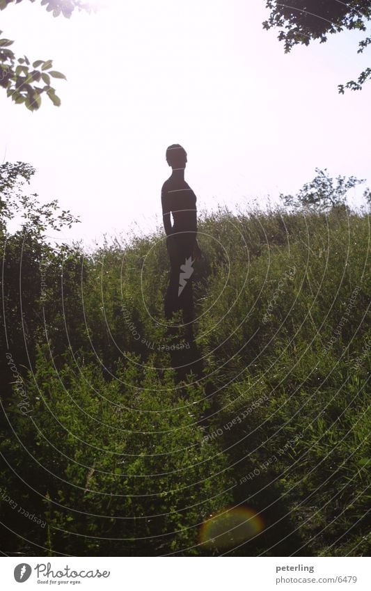 Appearance? Back-light Meadow Human being Planning