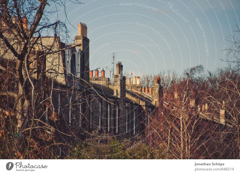 Edinburgh XVI Scotland Great Britain English Town Outskirts Populated House (Residential Structure) Esthetic Chimney Roof Housefront Living or residing Tree