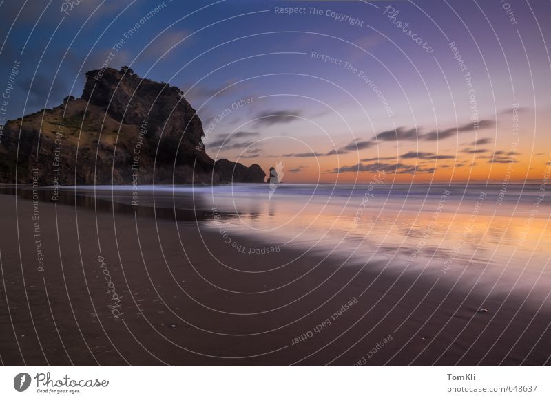 Lion Rock Sunset - New Zealand Vacation & Travel Summer Summer vacation Beach Ocean Island Waves Landscape Sand Water Clouds Night sky Stars Sunrise