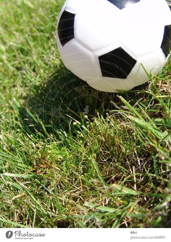 Tooor Grass Green Lawn Black & white photo Ball Shadow Close-up Detail Small Round Reflection Deserted Exterior shot Colour photo Shallow depth of field