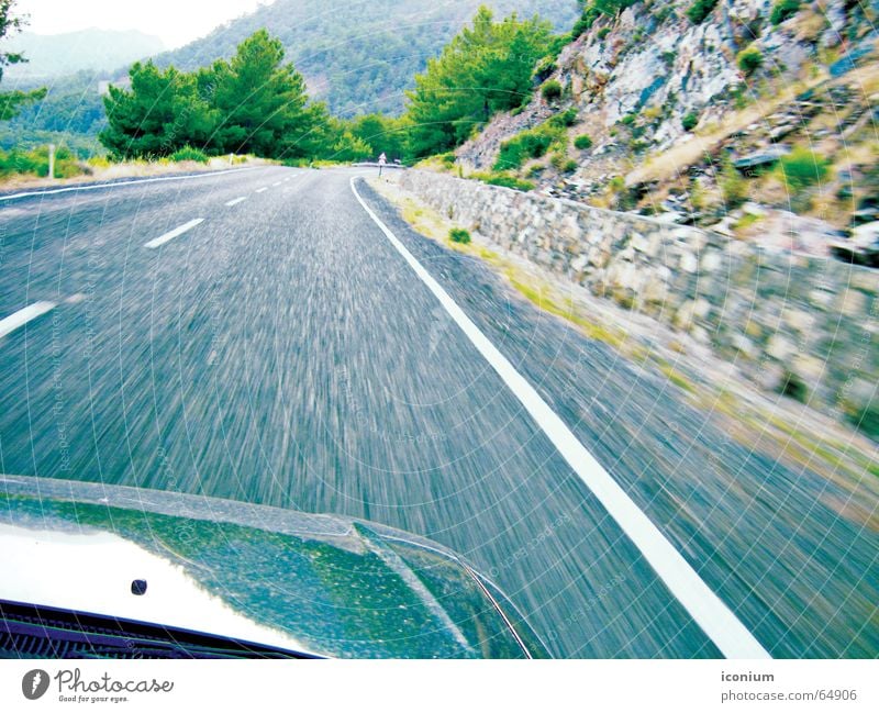 on the road Light car turkey forest line blue stone almost blur motion