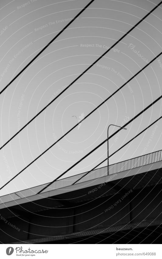 /////. Sky Cloudless sky Town Deserted Bridge Transport Motoring Street Highway Overpass Bird 1 Animal Street lighting Metal Line Stripe Large Under Logistics