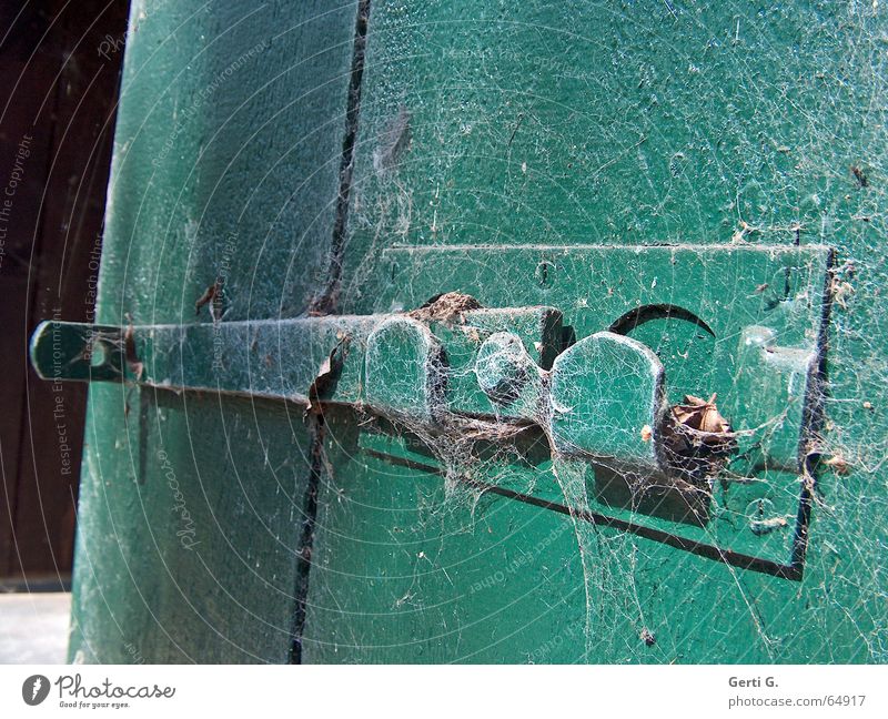 Detail of an old door bolt in bottle green covered with cobwebs Close Closed Locking bar Spider's web Derelict Untouched Wood Wooden door Undo barricade Open