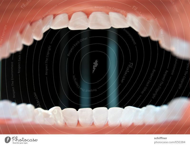 From the life of a suppository Mouth Teeth Exceptional Set of teeth Show your teeth Teeth-grinding Dentist Dental care Health care Healthy Pharynx Gum Toothache