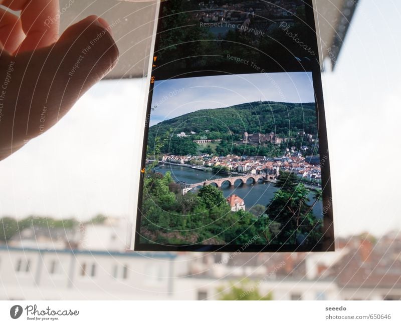 Heidelberg, Old Bridge, Medium format Fingers River Neckar Old town Castle Window Roof Film Slide Looking Nostalgia Far-off places Emphasis Town Transparent