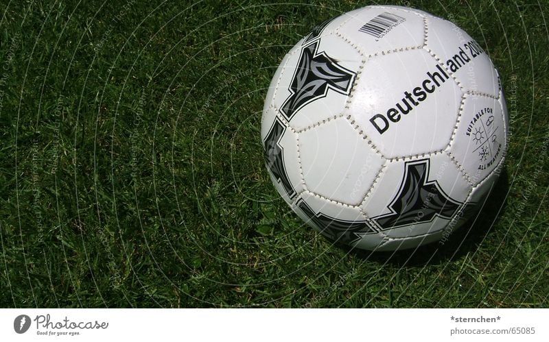 Prepare to launch! Round White Black Green Soccer Ball Lawn Lie Foot ball 1 Copy Space left Germany Near Deserted Colour photo