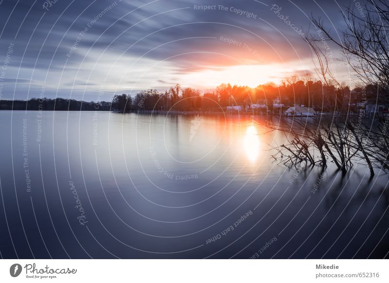 Wannsee Evening Water Clouds Sun Sunrise Sunset Sunlight Beautiful weather Tree Lakeside River bank Serene Patient Calm Havel Long exposure Blue Orange Berlin