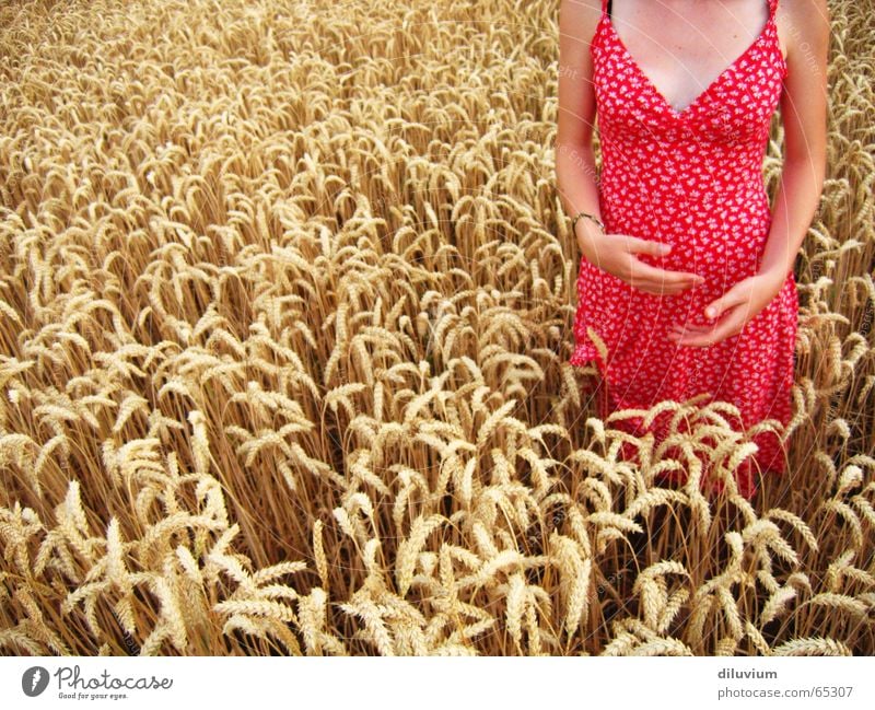 hands Hand Red Dress Field Wheat Summer Bright Haircut