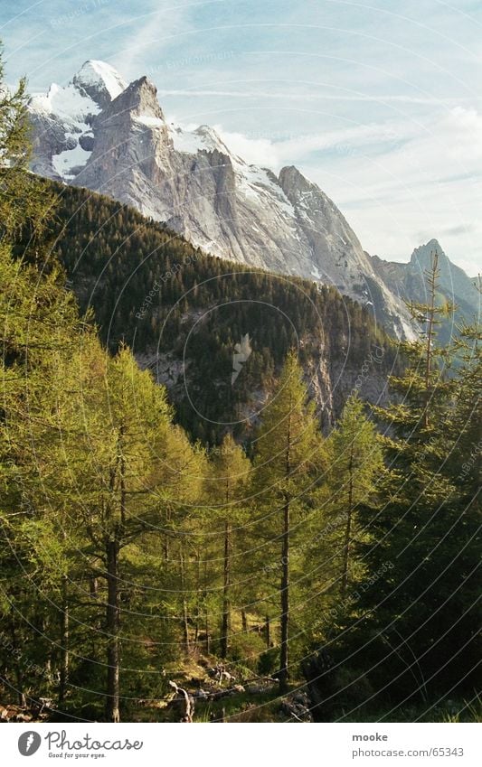 Dolomites Forest White Gray Green Mountain Rock Snow Blue