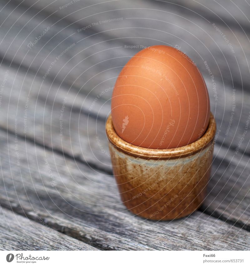 an egg for breakfast...? Food Egg dishes Eggshell Eating Breakfast Organic produce Vegetarian diet Finger food Mug Wood Earthenware Egg cup Hen's egg Firm Fresh