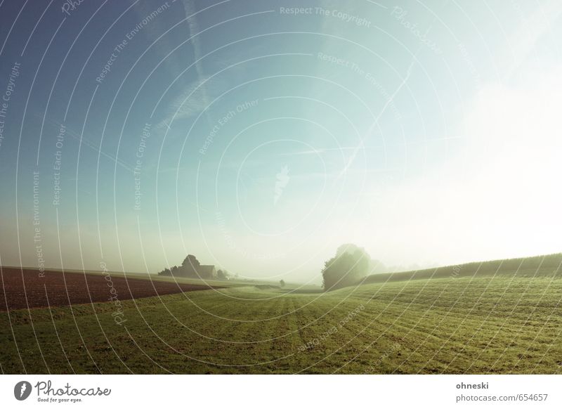 field and hallway Nature Landscape Elements Earth Sun Sunrise Sunset Sunlight Spring Beautiful weather Fog Grass Field Spring fever Calm Hope Longing Loneliness