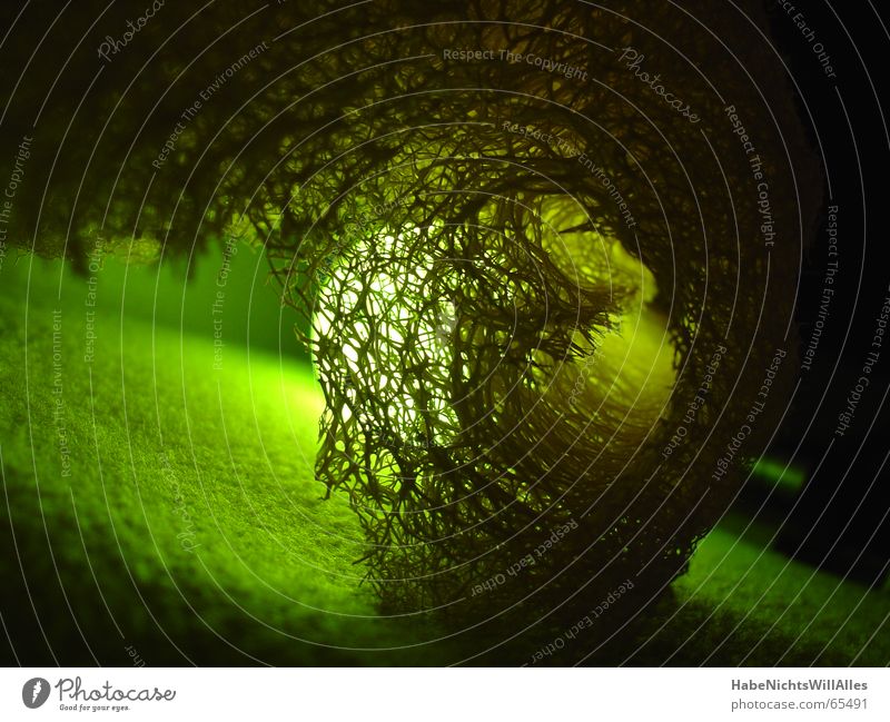 Greenish-t Light Felt Integration Interlaced Lighting Low-key Structures and shapes transmitted