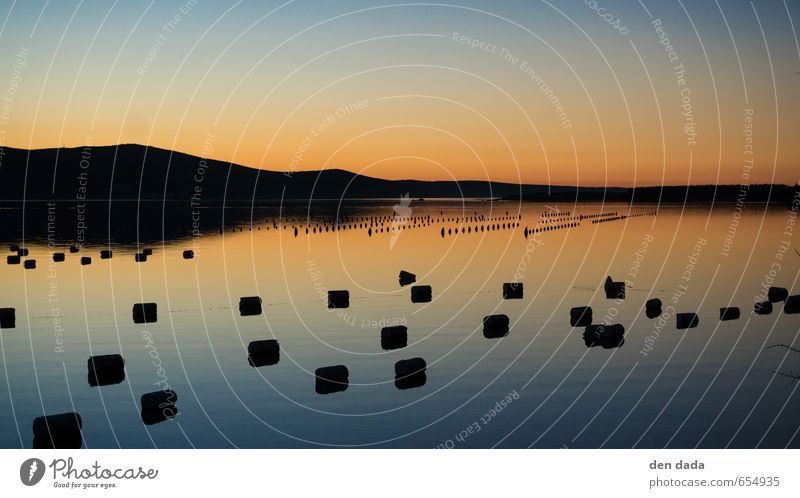 Mussel farm at sunset Fishing (Angle) Vacation & Travel Tourism Trip Far-off places Summer Summer vacation Ocean Island Nature Beautiful weather Coast Bay Fjord