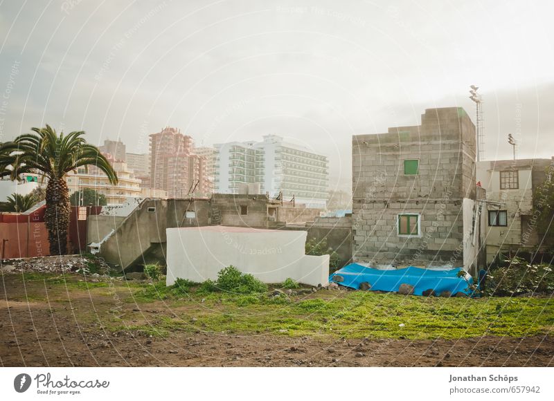 Puerto de la Cruz / Tenerife V Plant Grass Canaries Spain Town Port City Downtown Skyline Populated Overpopulated House (Residential Structure) Detached house