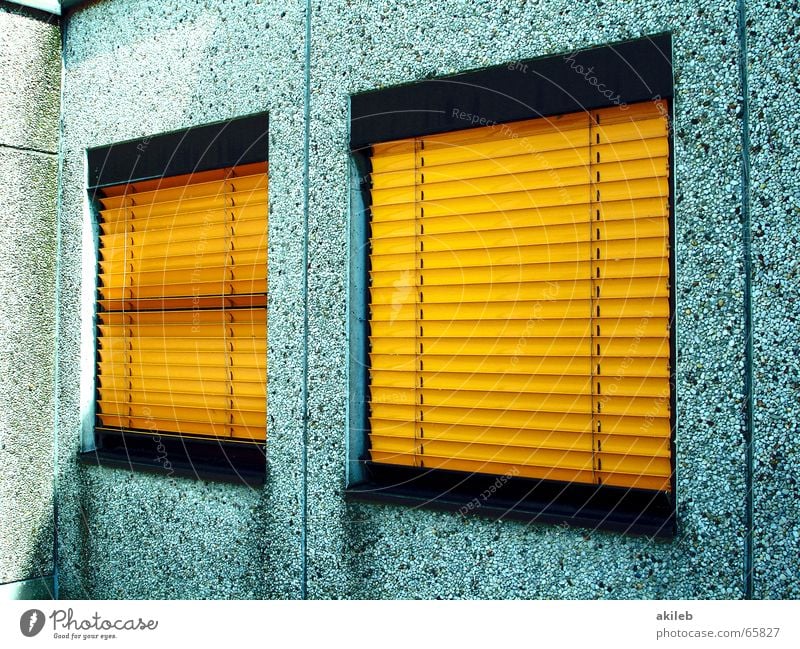 we are not here Window Yellow Wall (barrier) House (Residential Structure) Gray Closed Screening Timidity Venetian blinds Roller blind Prefab construction