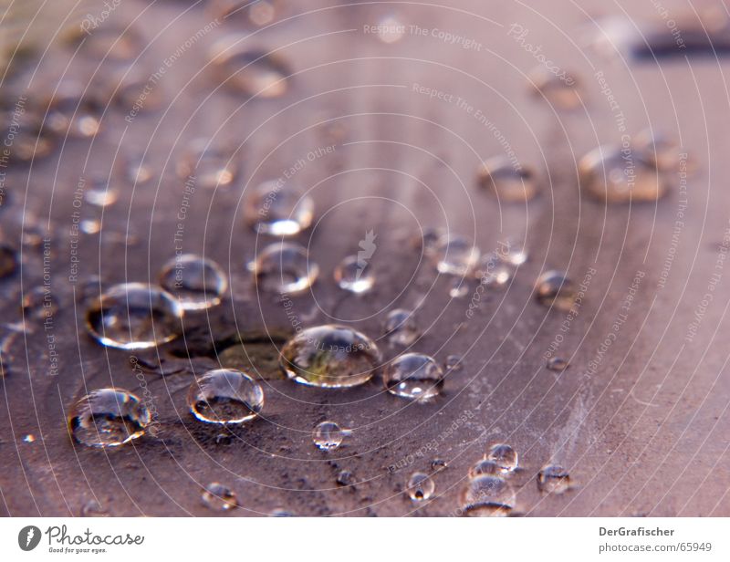 Jim Tropf and his wet gang Waterproofing Watertight Wet Damp Die of thirst Surface Accumulation Assembly Drops of water Surface tension Fresh Wood Wood flour