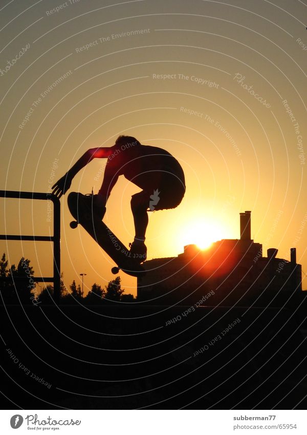 skater Skateboarding Sunset Town Shadow factetten Child Sports