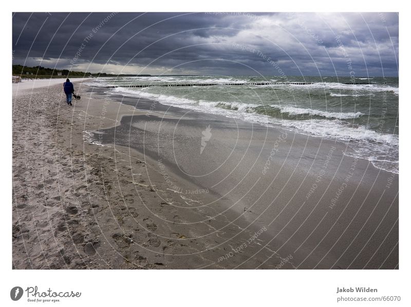 tempest Dark Clouds Threat Beach Far-off places Empty Waves White White crest Loneliness Calm Exterior shot Sky Water Wild animal Digital photography