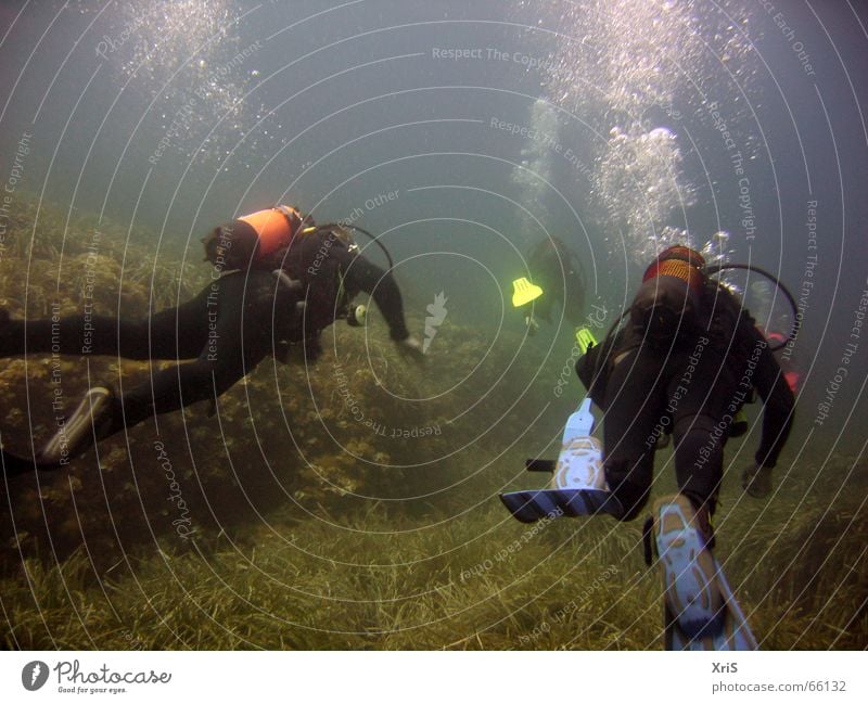 Mallorca - Underwater Party Dive Diver Diving equipment Air bubble Algae Green divergent diving Underwater photo underwater buddy bubbles Water wings fins Blue