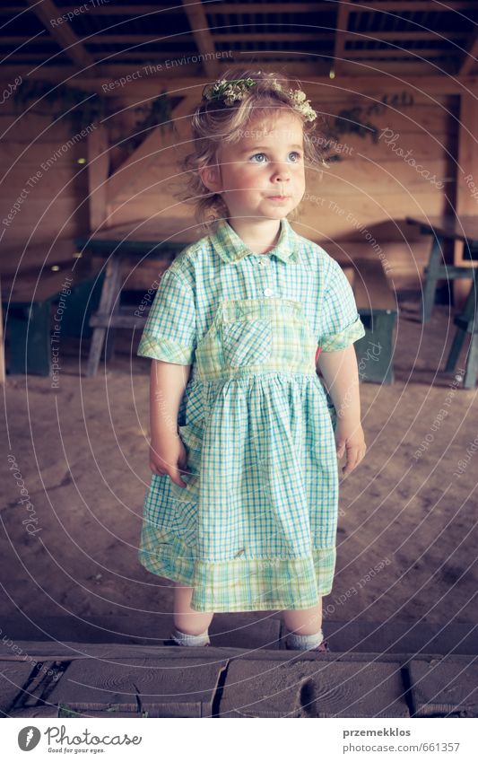 Little girl with wild flowers coronet Summer Table Child Girl 1 Human being 3 - 8 years Infancy Flower Dress Blonde Decoration Authentic Small Wild Brown Green