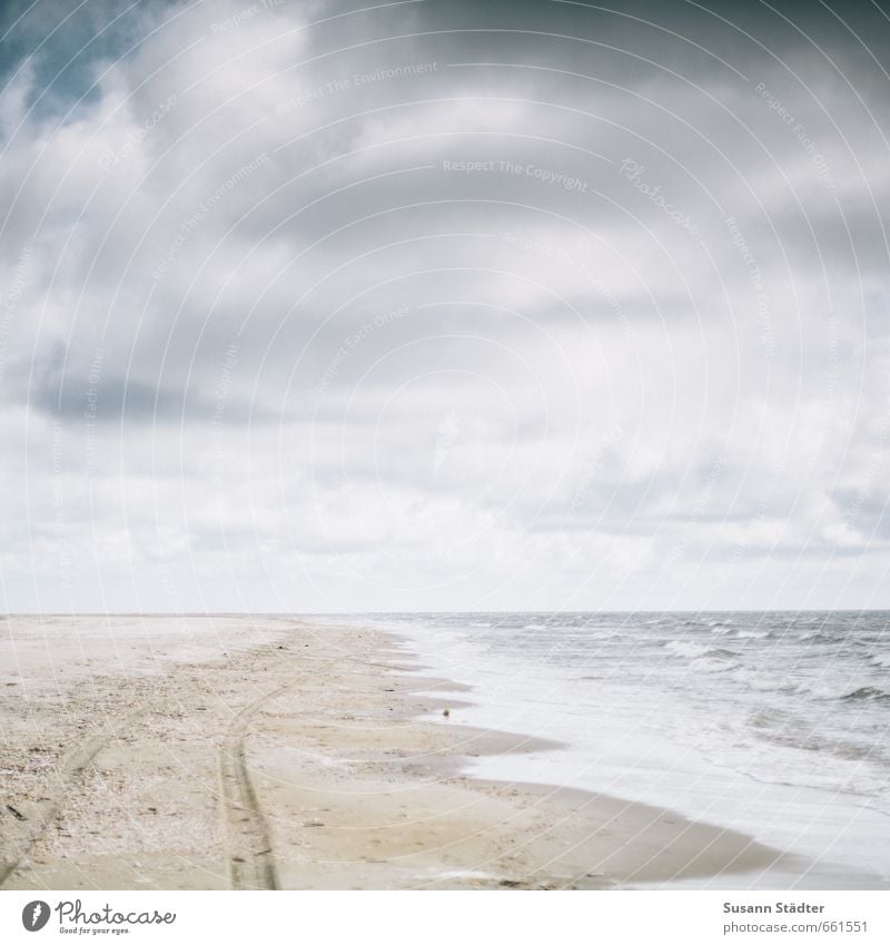 Rømø. Sand Sky Clouds Beautiful weather Drought Waves Coast Beach North Sea Ocean Island Hiking Optimism Success Power Hope Tracks Sandy beach Skid marks