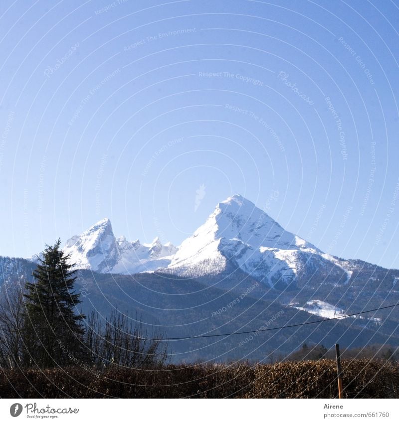 Zuckerberg, the Whats-man Nature Landscape Cloudless sky Winter Beautiful weather Snow Alps Mountain Watzmann Berchtesgaden Alpes Peak Snowcapped peak Bavaria