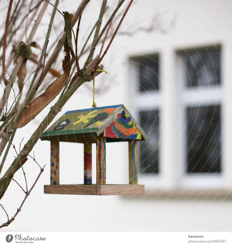 I don't have a bird. Handicraft Model-making Living or residing Garden Gardening Nature Autumn Winter Plant Tree Bushes Park Facade Window Bird Decoration