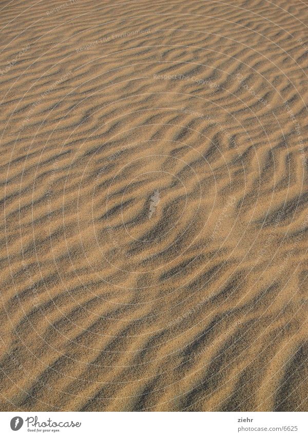 sand Hot Waves Sand Desert Sun Structures and shapes Wind