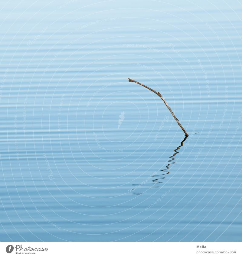 seismograph Environment Nature Water Pond Lake Line Natural Blue Movement Waves Swell Undulation Wave action Wavy line Stick Branch Twig Colour photo