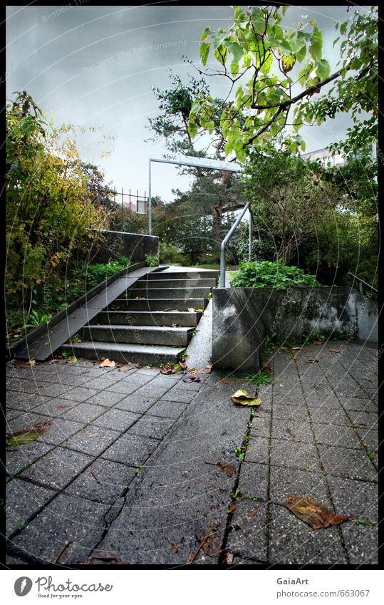 The stairs Environment Nature Sky Clouds Autumn Bad weather Park Town Places Gate Stairs Stone Movement Going Crouch Growth Dirty Creepy Cold Gray Green Moody