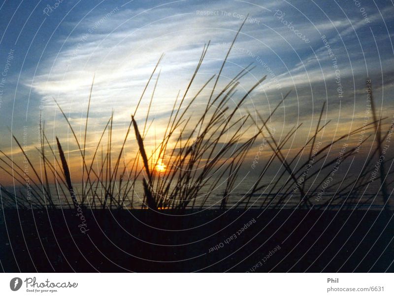 beach Beach Sunset Ocean Denmark