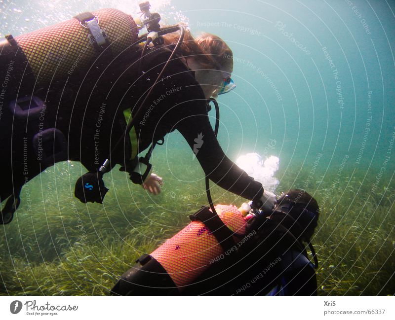 Mallorca - Underwater Party 3 Dive Diver Diving equipment Air bubble Algae Green divergent diving Underwater photo underwater buddy bubbles Water wings fins