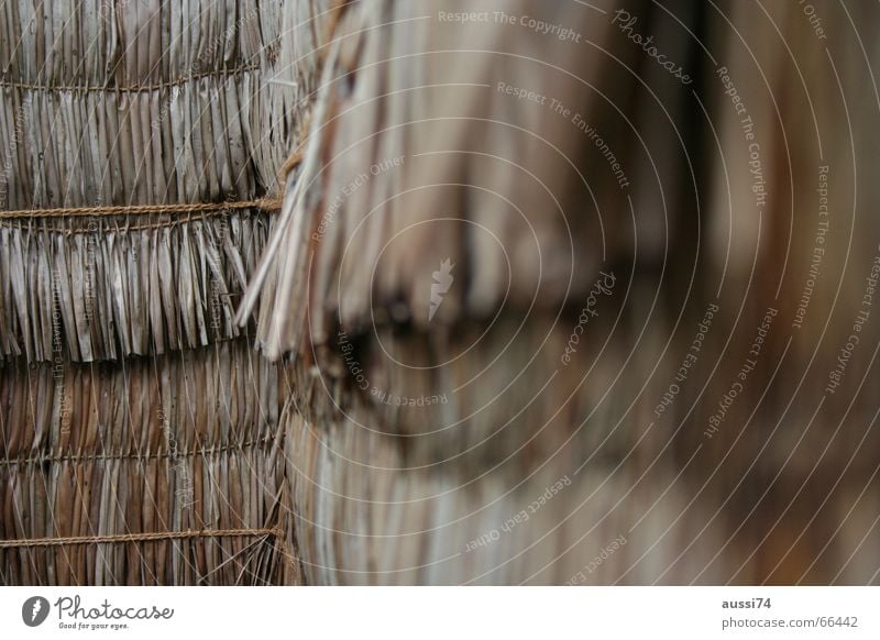 blurred, sharper, sharpest Fence Straw Blur hag Line mesh fence