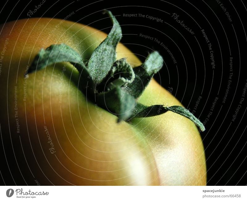 ripening process Healthy Delicious Mature Green Red Solanaceae Vitamin C Black Tomato Vegetable Macro (Extreme close-up)