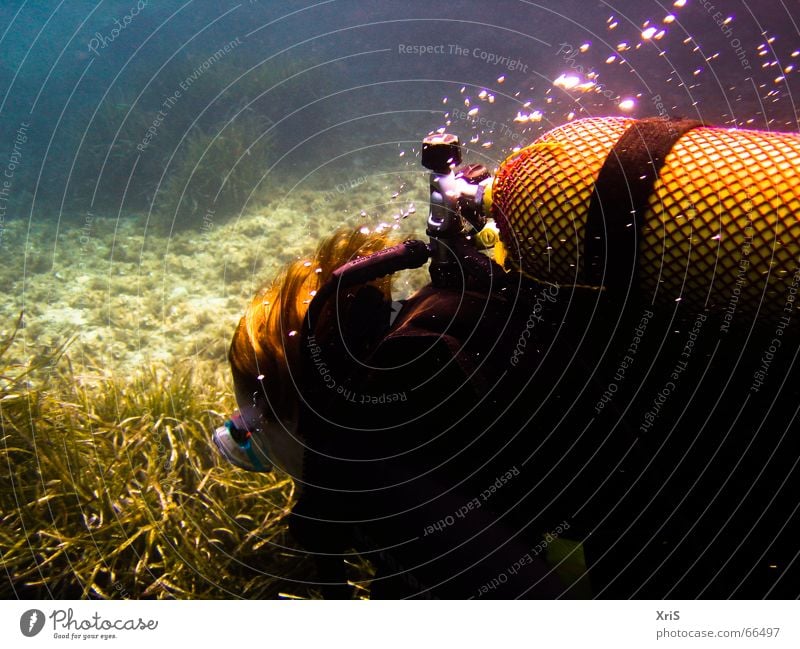 Mallorca - Underwater Party 5 Dive Diver Diving equipment Air bubble Algae Green divergent diving Underwater photo underwater buddy bubbles Blue Mask