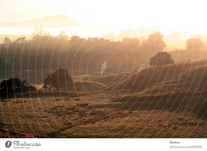 Shire Fog Meadow Rich pasture Grassland New Zealand Moody Morning Sun