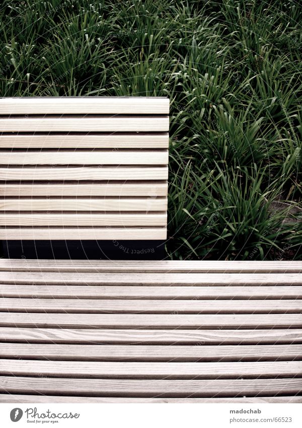 SITTING WAITING WISHING | break bank wellness relaxation Grass Wooden bench Park Design Break Relaxation Style Mono Open Nature Bench green stuff Share Sit