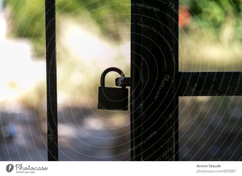 Backlit padlock Summer Padlock Iron gate Lock Safety Think Hang Authentic Dark Green Black Moody Curiosity Threat Mysterious Bans Closed Colour photo