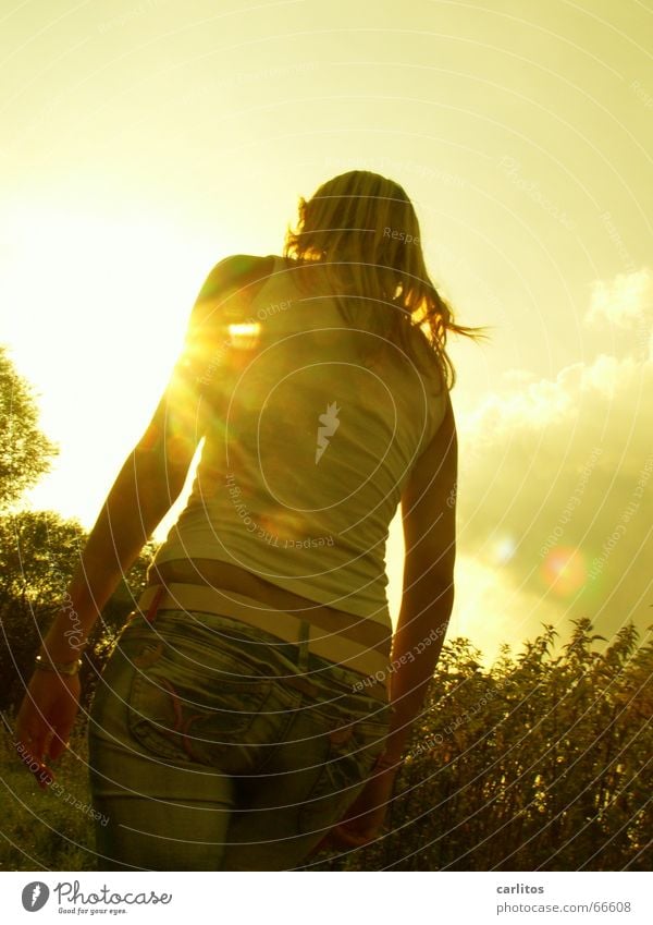 Young woman against the light Back-light Summer Sun Woman Adults Jeans Blonde Long-haired Crazy Showing one's bellybutton Tilt Youth (Young adults)