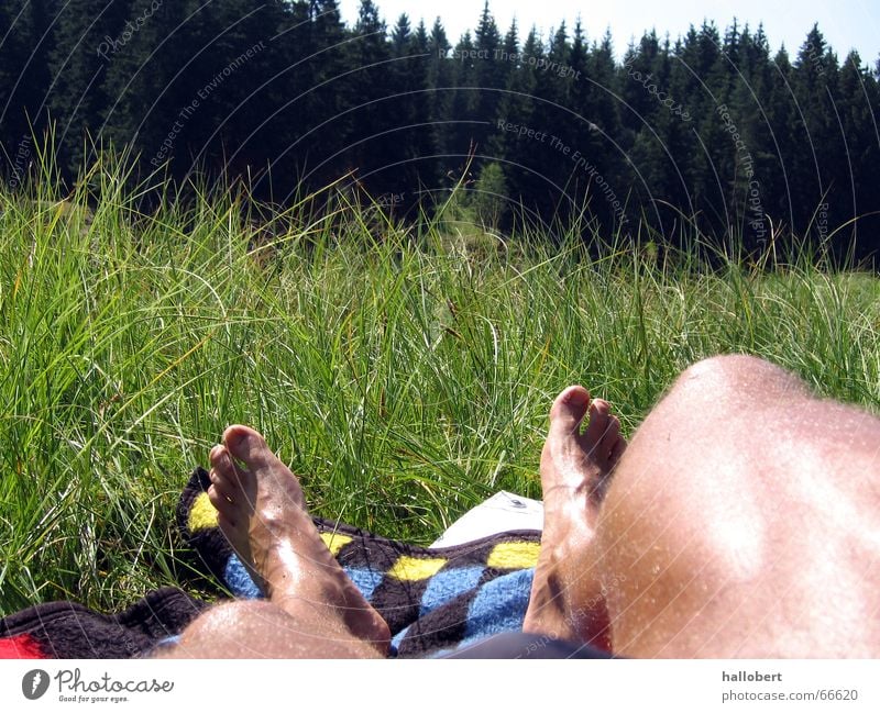 Lake Vogtland 01 Forest lake Meadow Vogtlandsee Lake Lawn for sunbathing Sun Legs