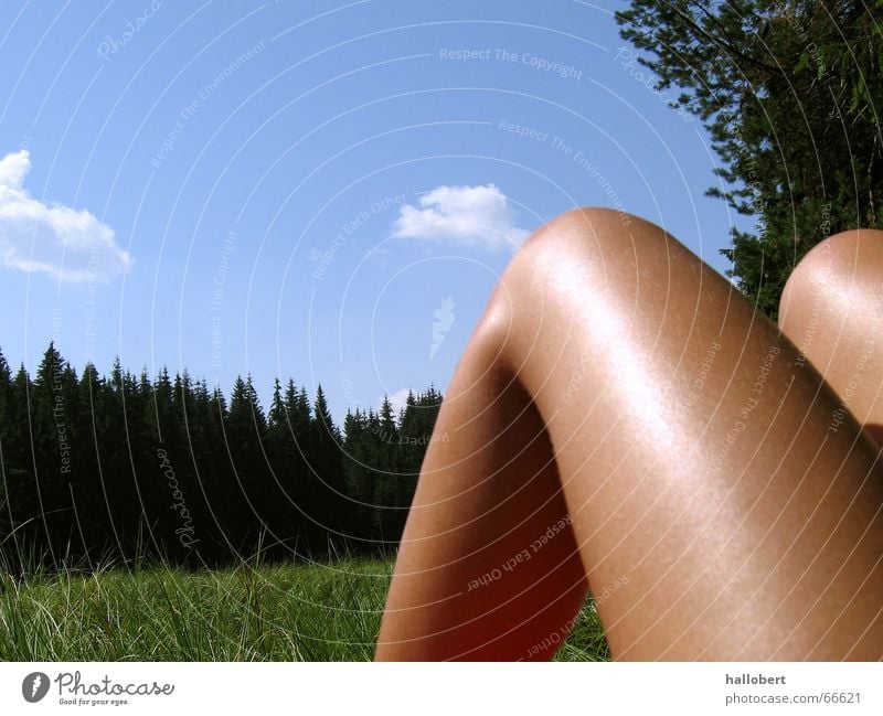 Lake Vogtland 02 Forest lake Meadow Pond Vogtlandsee Lake Contentment Sun Legs