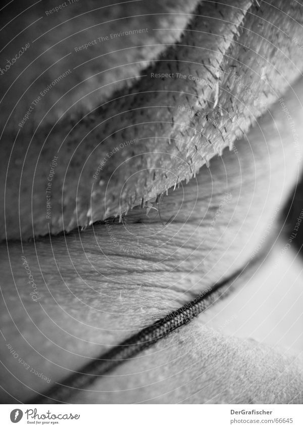 beforehand ... Double chin Chin Facial hair Unshaven Monochrome Morning Arise Mirror Cosmetics Man Gentleman Black & white photo Bathroom unfavourable Neck