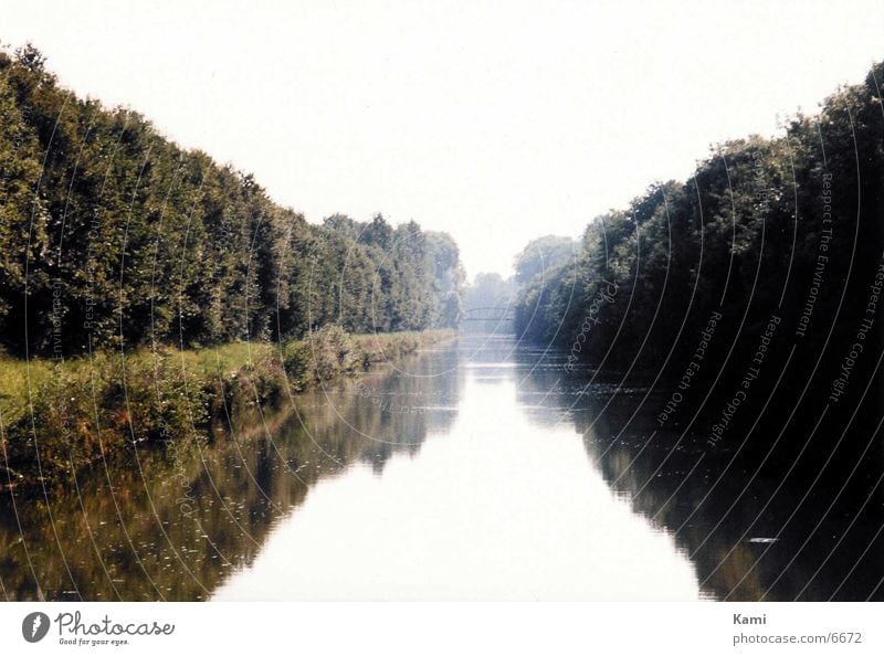 river landscape Mysterious Moody Reflection Fog Tree River Sewer Water