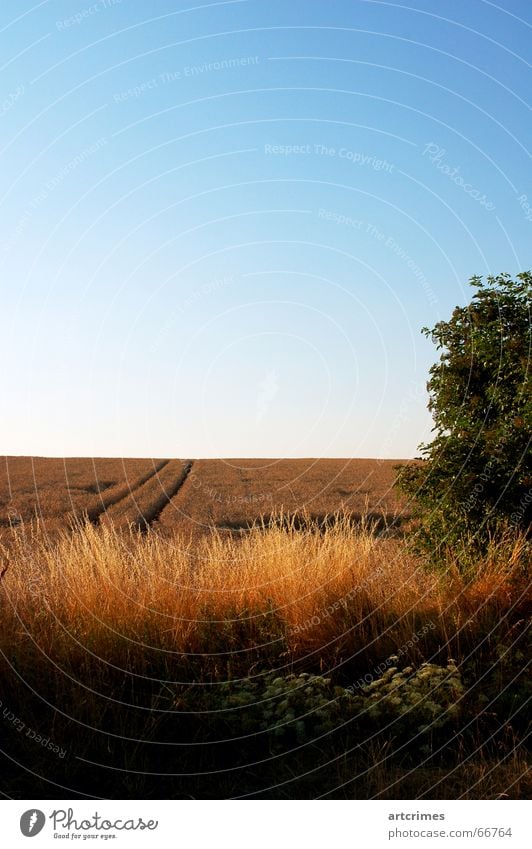 celebration Summer Exterior shot Classic Triad Horizon Landscape Grain Sky