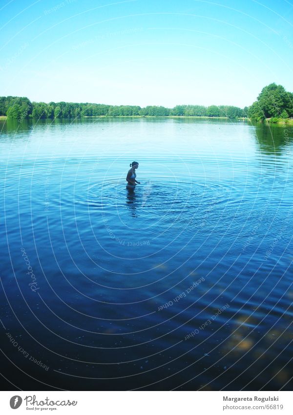 lake Lake Forest Green Loneliness Pond Summer Cold Blue Sky Human being Fishing (Angle) Water Refreshment