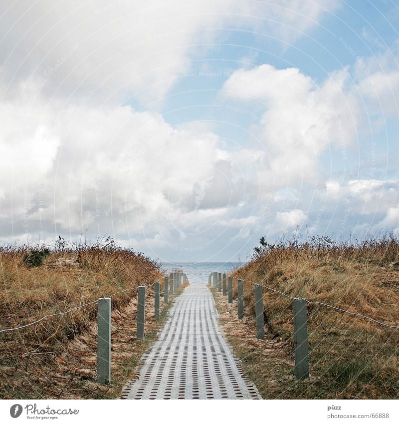 The way Vacation & Travel Far-off places Beach Ocean Nature Landscape Sky Clouds Spring Summer Autumn Beautiful weather Coast Baltic Sea Lanes & trails Hope