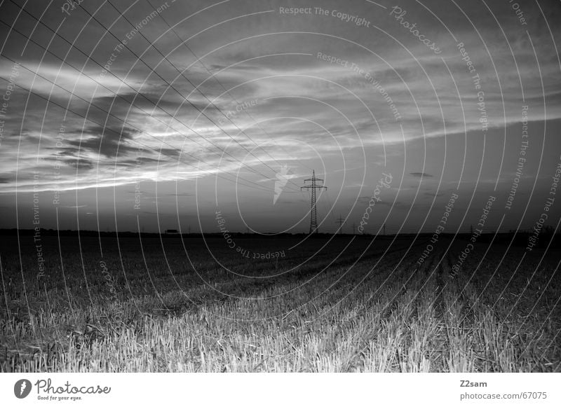 away in the nothing Field Electricity pylon Agriculture Clouds Dark Line Far-off places Landscape Sky Perspective Evening lines Black & white photo