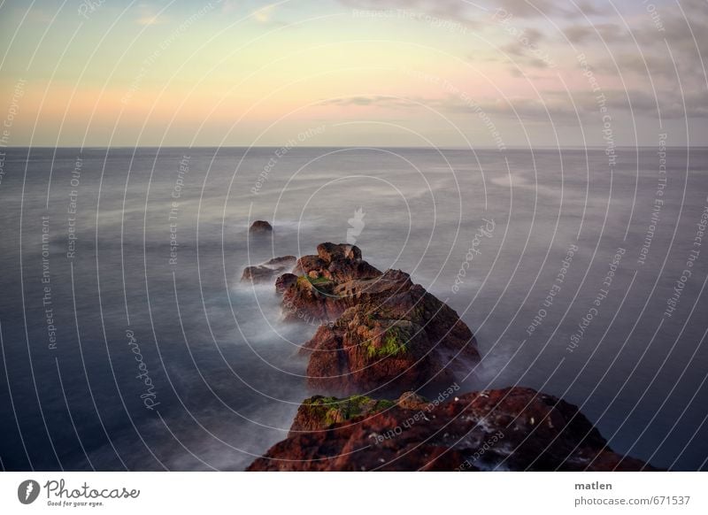 flow Nature Landscape Sky Clouds Horizon Sunrise Sunset Spring Weather Beautiful weather Rock Ocean Deserted Brown Gray Green Pink Current Algae Colour photo